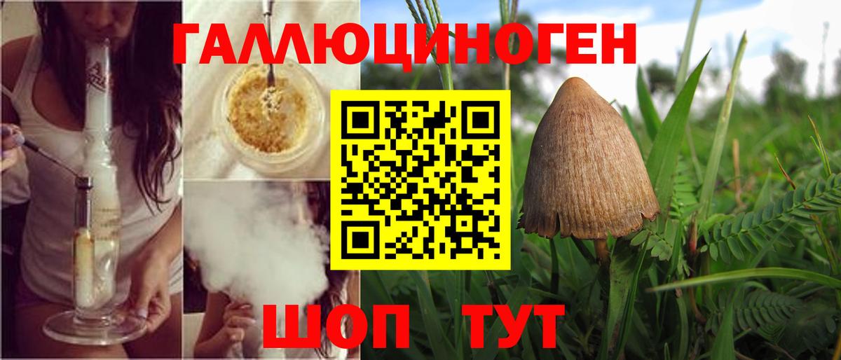 Псилоцибиновые грибы Cubensis Углич